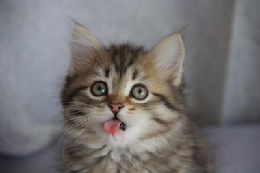 Do I have something on me tongue?